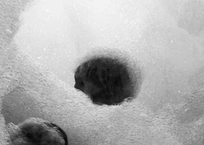 mousse apesanteur 11 | Roseline Delacour