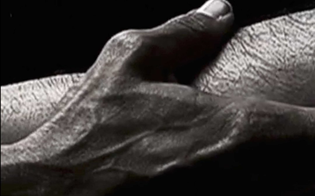 Humains | Le corps